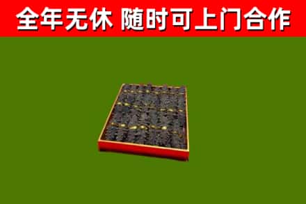 尉犁县回收海参